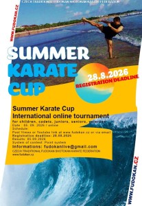 Summer karate cup